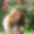 Profilbild von Saskia Hegemann