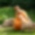Profilbild von Ursula Redner