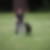 Profilbild von Martina Hoorens