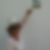 Profilbild von Marianne Hoenge