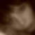Profilbild von Carolin Weigelt