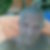 Profilbild von Bernd Halbroth
