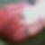 Profilbild von Romana Wils