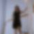 Profilbild von Nicole Sandefur