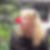 Profilbild von Sabine Nowak