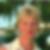 Profilbild von Urte Bocklisch