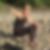 Profilbild von Waltraut Menzer