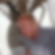 Profilbild von Rolf Künemann