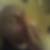 Profilbild von Uwe Naeter