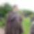 Profilbild von Sebastian Musch