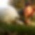 Profilbild von Ronald Ohm
