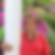 Profilbild von Susanne Kellermann