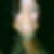 Profilbild von Andrea von Reth
