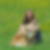 Profilbild von Stefanie Krebs