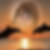 Profilbild von Karin Eder