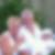 Profilbild von Silvia Cobabus
