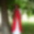 Profilbild von Iris Binek
