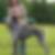 Profilbild von Sabine Horlacher
