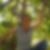 Profilbild von Nicole Eckerter