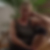 Profilbild von Burgunde Berg