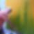 Profilbild von Thomas Plume