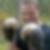 Profilbild von Torsten Weigt