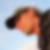 Profilbild von Tim Schmidt