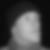 Profilbild von Toni Franz