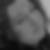 Profilbild von Marlies Bulla