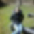 Profilbild von Stephanie Franke