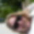 Profilbild von Nora Kiesel