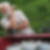 Profilbild von Winfried Berger