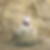 Profilbild von Andrea Schlereth