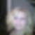 Profilbild von Nadine Dubbe