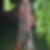 Profilbild von Ivonne Darcan
