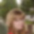 Profilbild von Steffi Fritsche