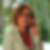 Profilbild von Katrin Kramer