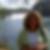 Profilbild von Birgit Kurz