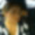 Profilbild von Geraldine Immig