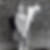 Profilbild von Loretta Schönig