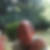 Profilbild von Patrick Samow