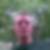 Profilbild von Sven Ditze
