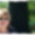 Profilbild von Renate Jung