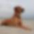 Profilbild von Eileen Papke