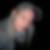 Profilbild von Dennis Krause