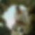Profilbild von Christopher Mauracher