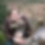 Profilbild von Tanja Blind