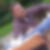 Profilbild von Rolf Weise