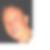 Profilbild von Markus Dollinger