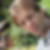Profilbild von Matthias Kreidner